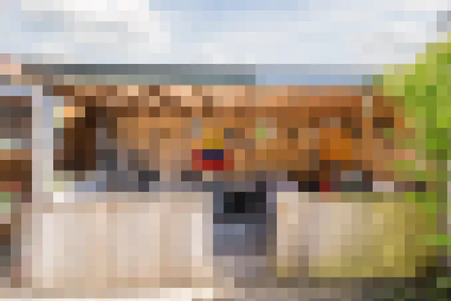 Meeuwenlaan 2 Egmond-Binnen thumbnail 30