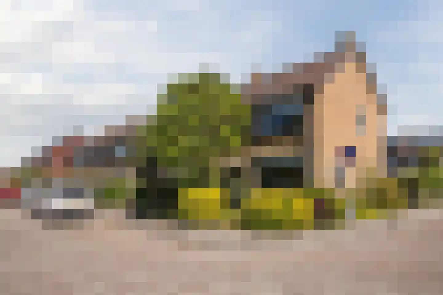 Meeuwenlaan 2 Egmond-Binnen thumbnail 34