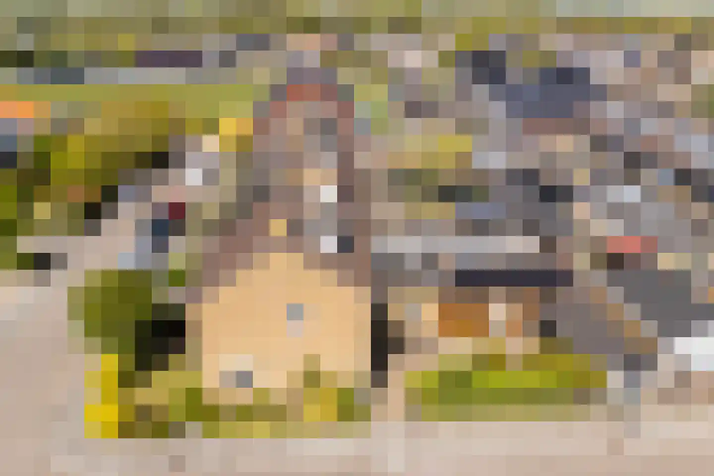 Meeuwenlaan 2 Egmond-Binnen thumbnail 35