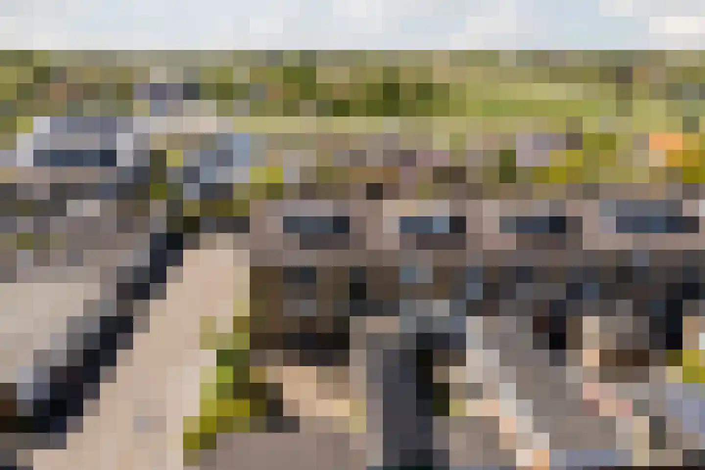 Meeuwenlaan 2 Egmond-Binnen thumbnail 36
