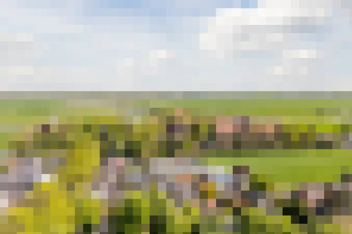 Meeuwenlaan 2 Egmond-Binnen thumbnail 37