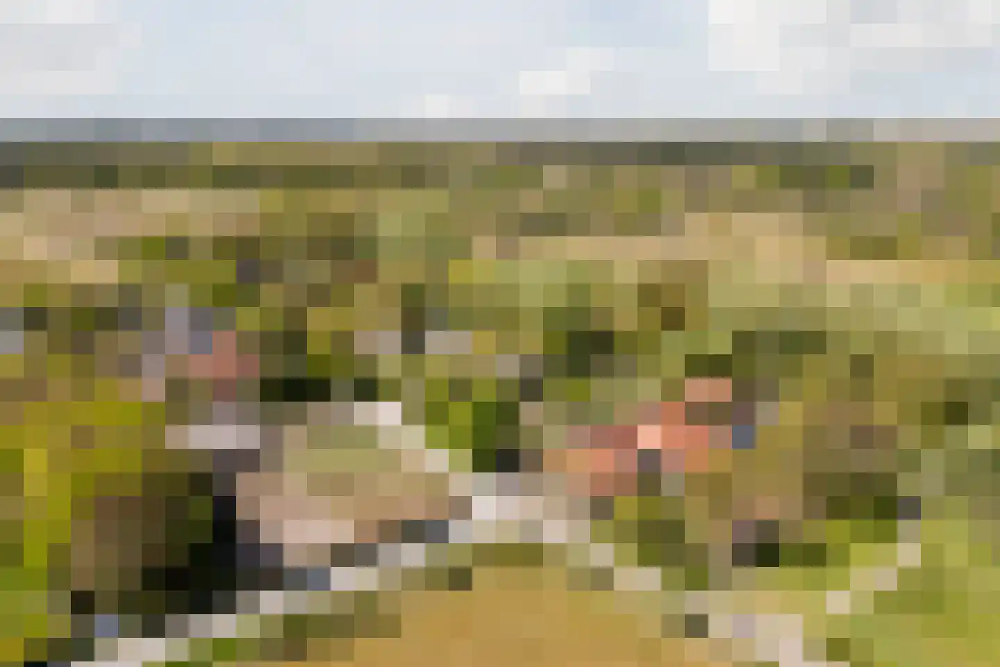 Meeuwenlaan 2 Egmond-Binnen thumbnail 38
