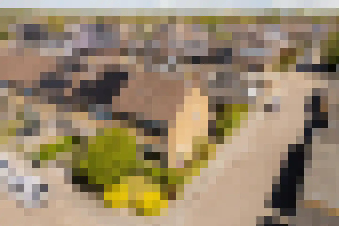 Meeuwenlaan 2 Egmond-Binnen thumbnail 6