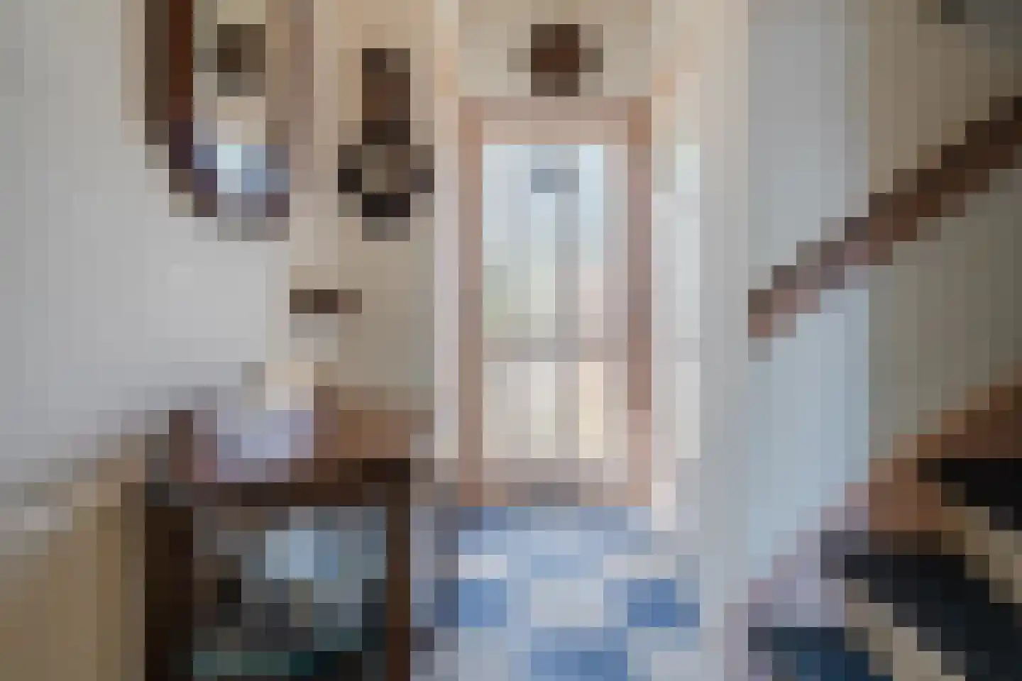 Meeuwenlaan 2 Egmond-Binnen thumbnail 7