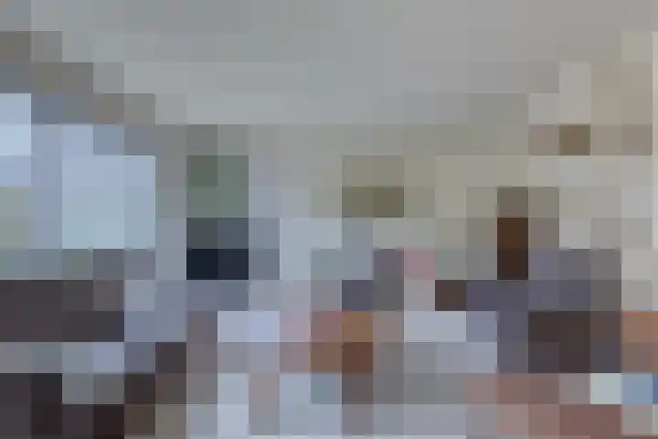 Meeuwenlaan 2 Leiderdorp thumbnail 11