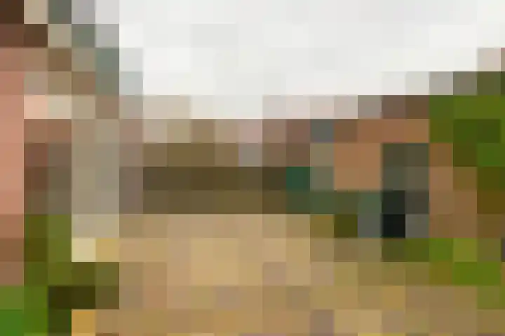 Meeuwenlaan 2 Leiderdorp thumbnail 15
