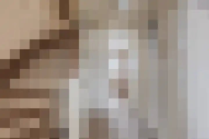Meeuwenlaan 2 Leiderdorp thumbnail 19