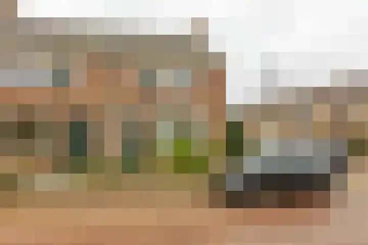 Meeuwenlaan 2 Leiderdorp foto 2