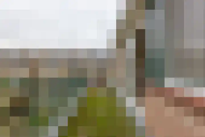 Meeuwenlaan 2 Leiderdorp thumbnail 21