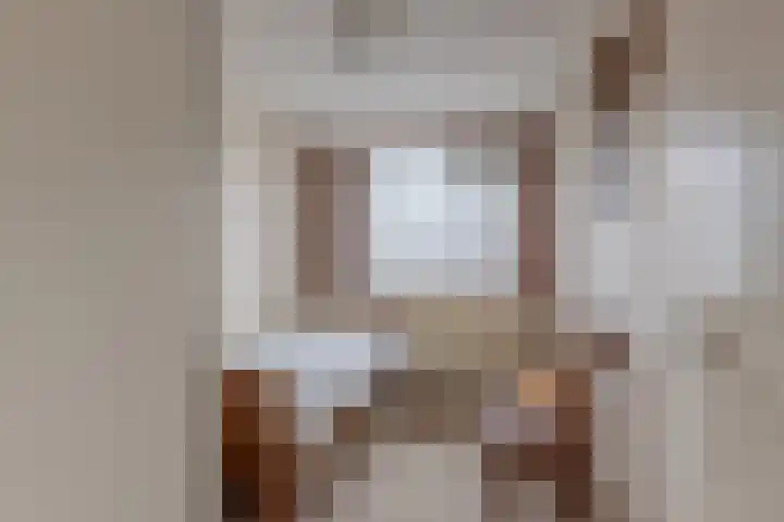 Meeuwenlaan 2 Leiderdorp thumbnail 27
