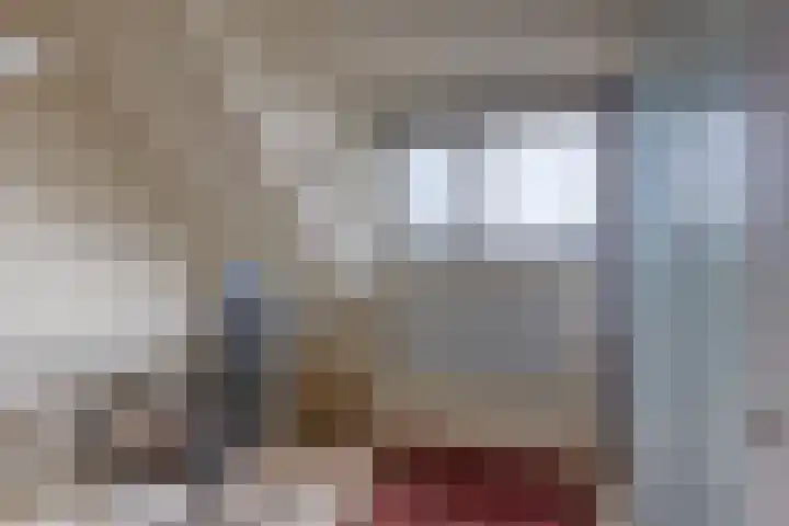 Meeuwenlaan 2 Leiderdorp thumbnail 29