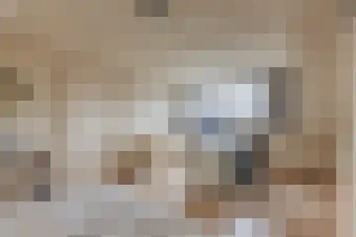 Meeuwenlaan 2 Leiderdorp thumbnail 32