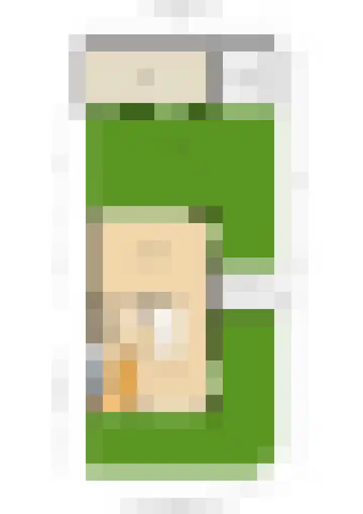 Meeuwenlaan 2 Leiderdorp thumbnail 39