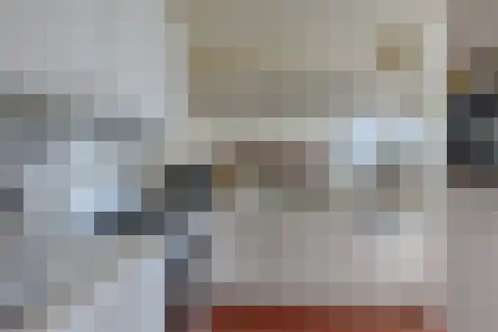 Meeuwenlaan 2 Leiderdorp thumbnail 6