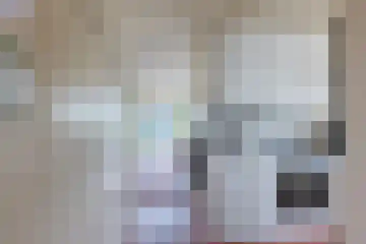 Meeuwenlaan 2 Leiderdorp thumbnail 9