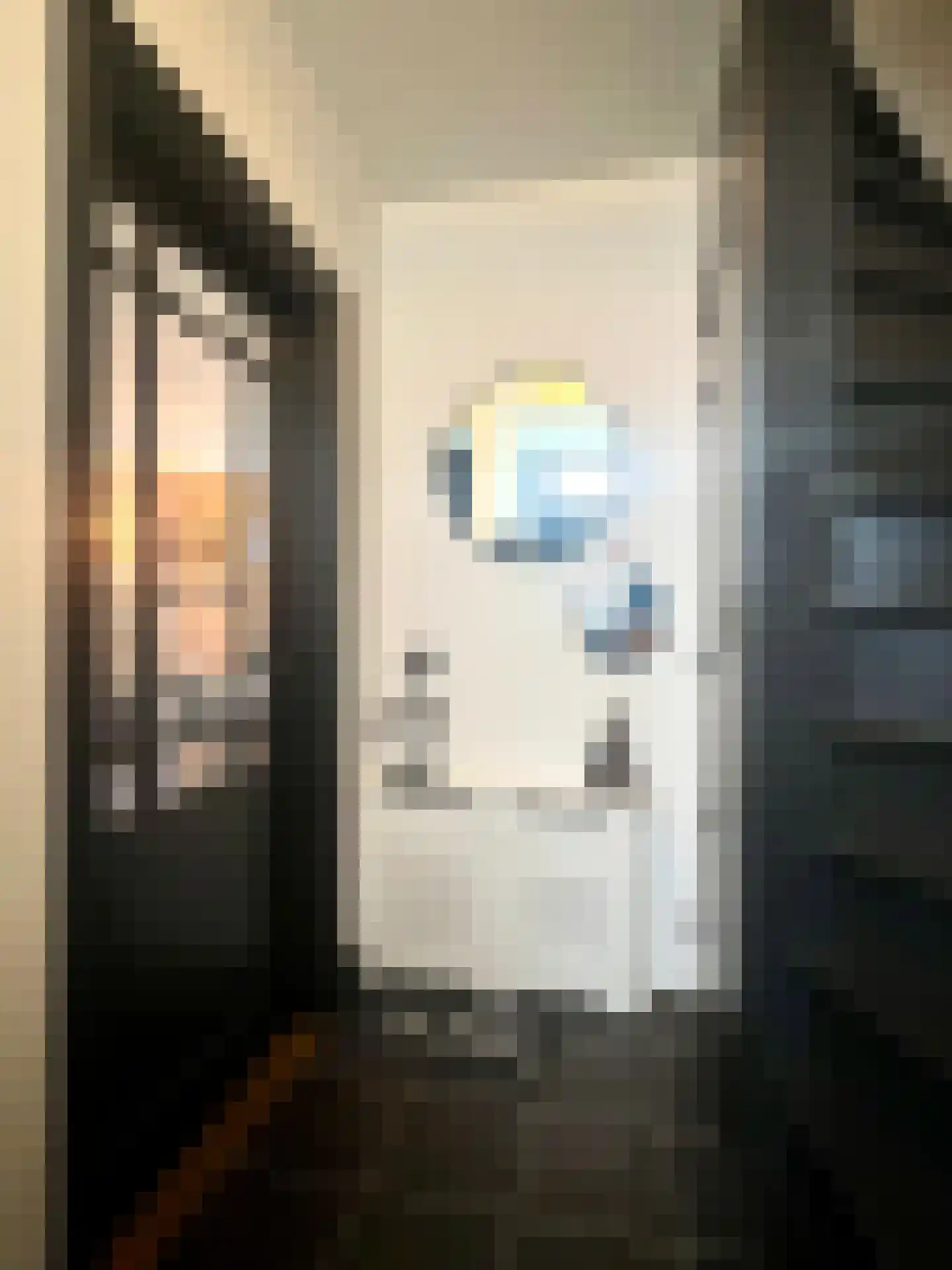 Meeuwenlaan 2 Lopik thumbnail 10