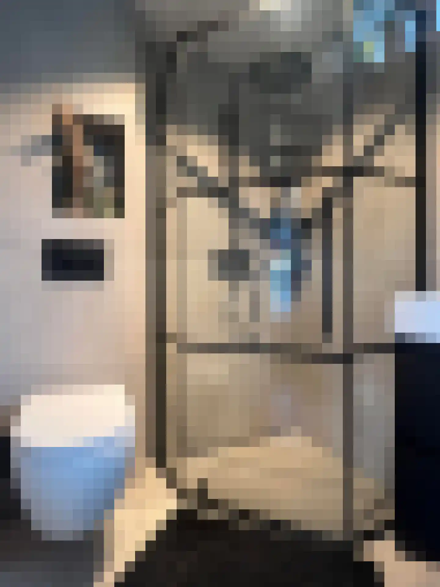 Meeuwenlaan 2 Lopik thumbnail 19