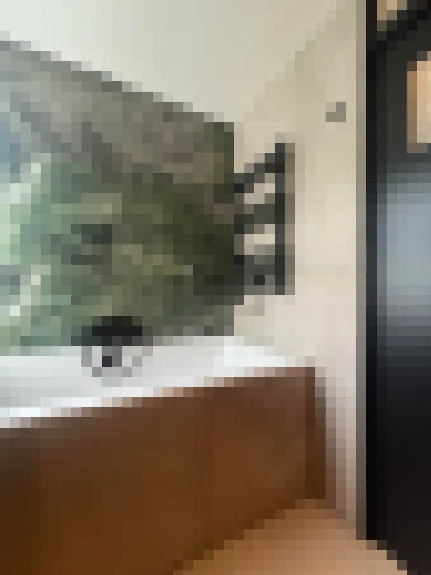 Meeuwenlaan 2 Lopik thumbnail 20