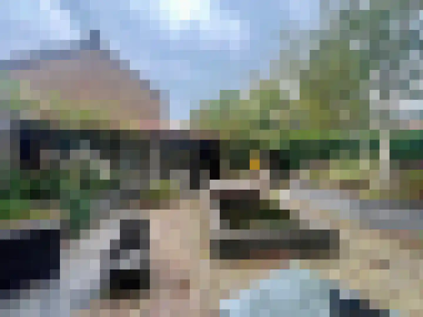 Meeuwenlaan 2 Lopik thumbnail 25