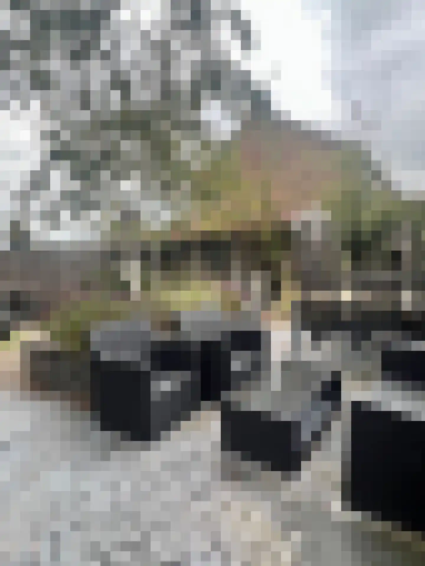 Meeuwenlaan 2 Lopik thumbnail 27