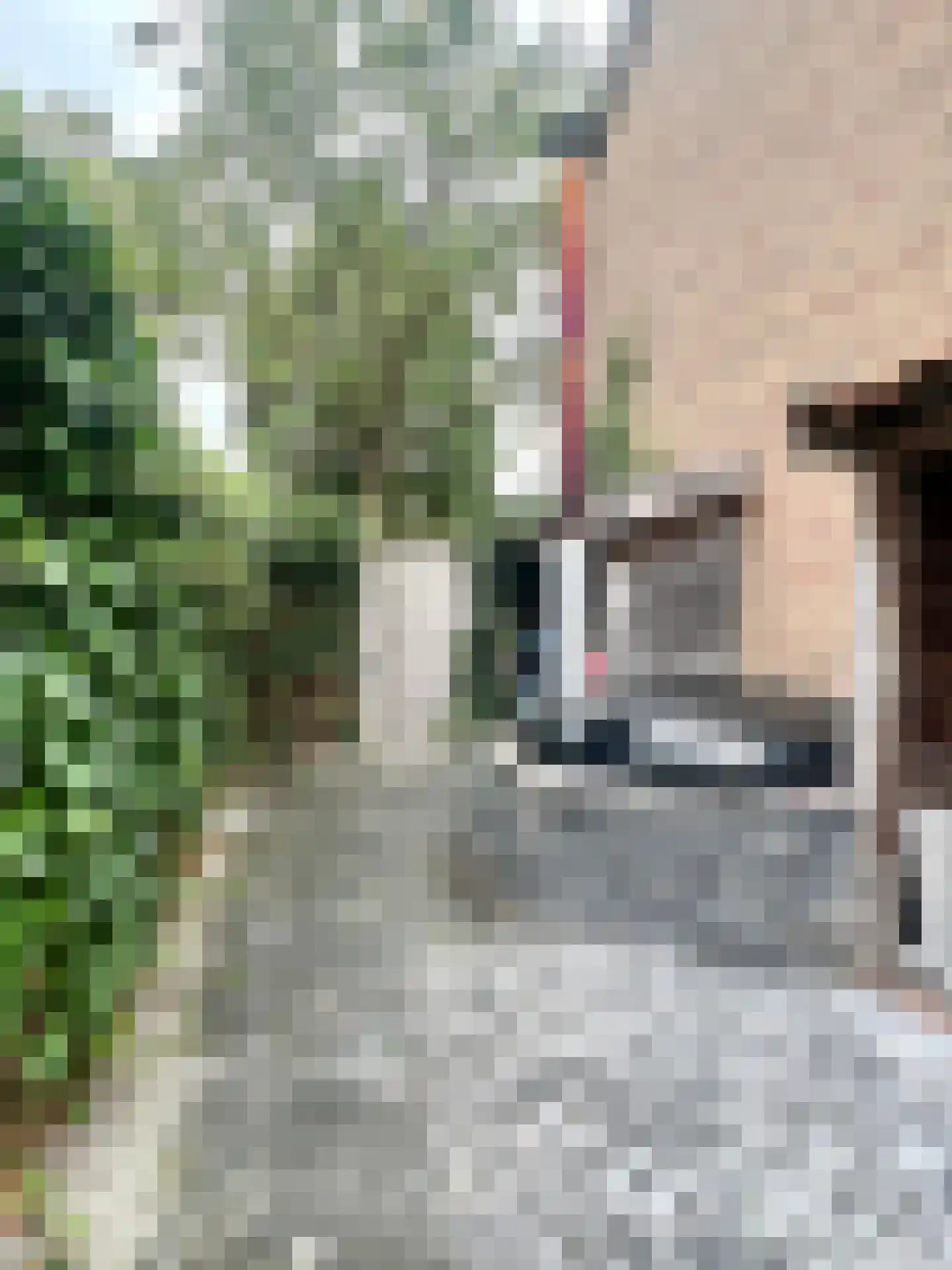 Meeuwenlaan 2 Lopik thumbnail 28