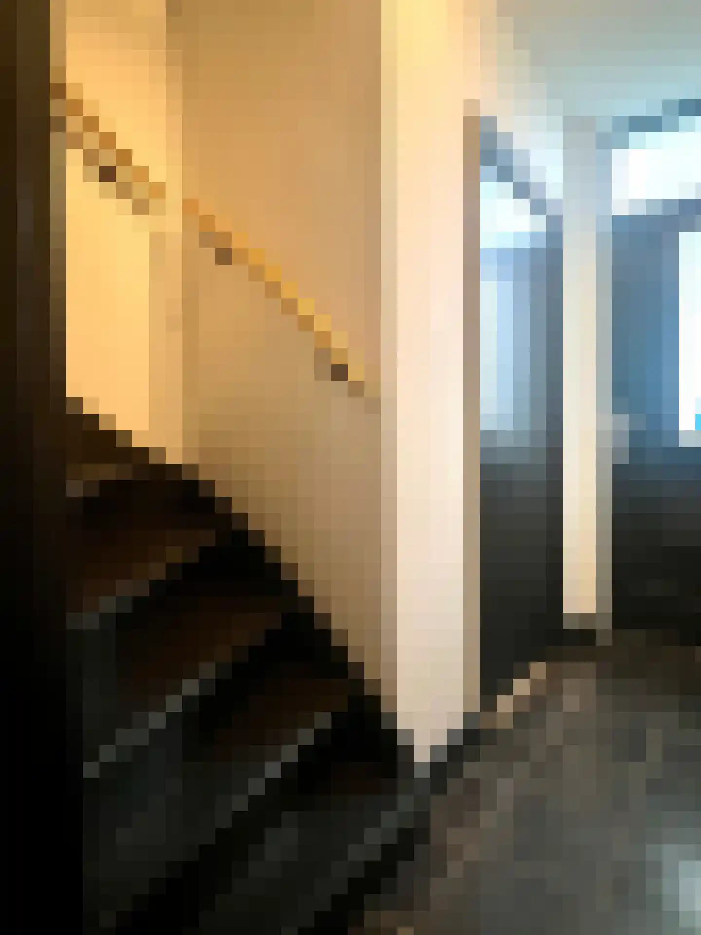 Meeuwenlaan 2 Lopik thumbnail 8