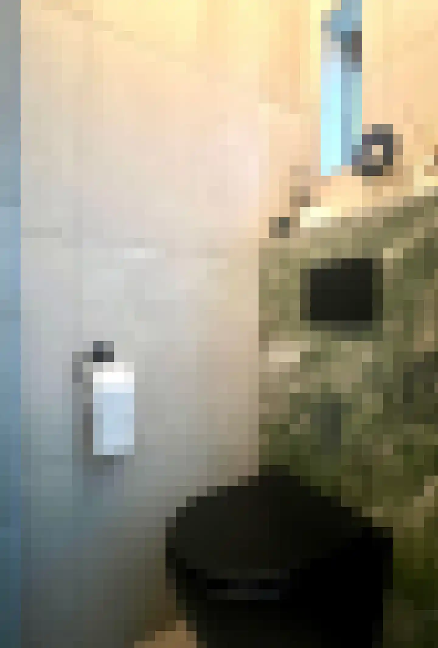 Meeuwenlaan 2 Lopik thumbnail 9