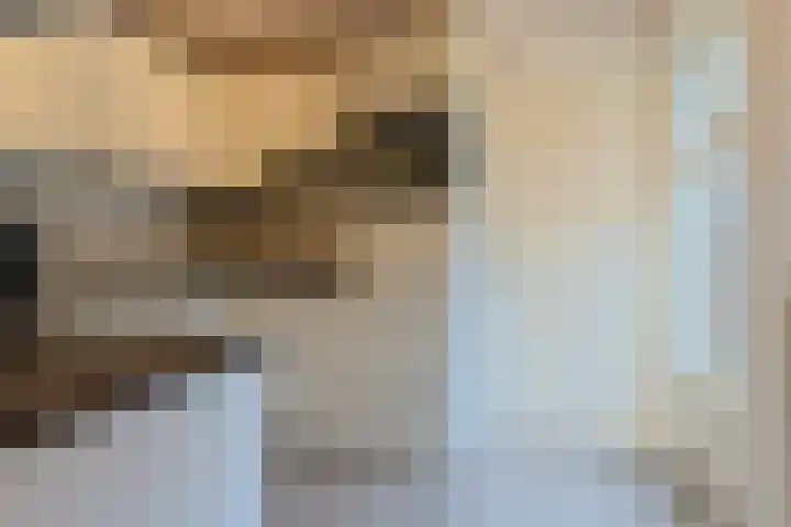 Meeuwenlaan 2 Nieuwkoop thumbnail 14