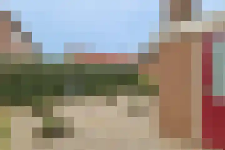 Meeuwenlaan 2 Nieuwkoop thumbnail 17