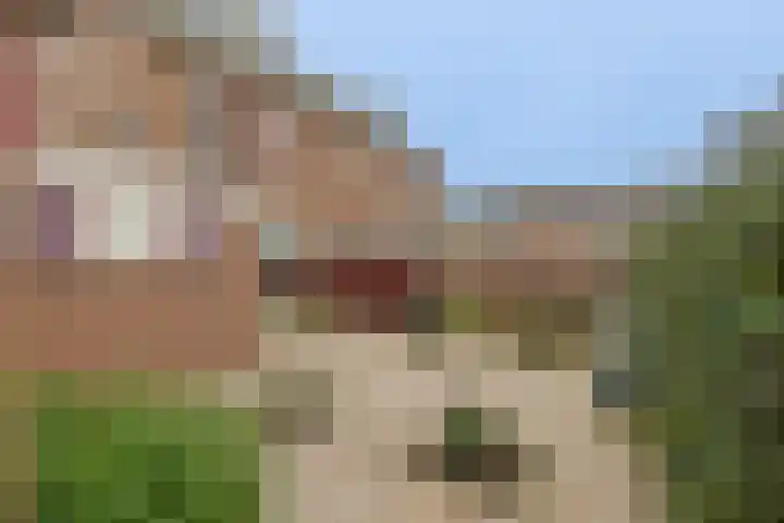 Meeuwenlaan 2 Nieuwkoop thumbnail 18