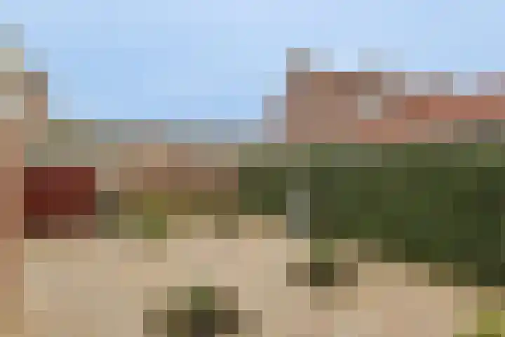 Meeuwenlaan 2 Nieuwkoop thumbnail 19