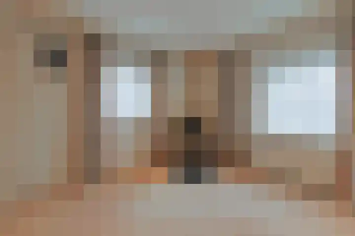 Meeuwenlaan 2 Nieuwkoop thumbnail 24