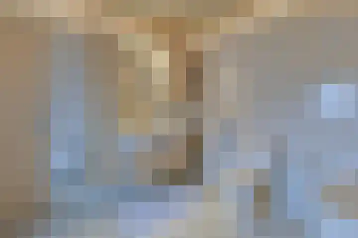 Meeuwenlaan 2 Nieuwkoop thumbnail 26
