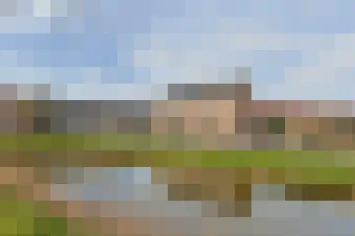 Meeuwenlaan 2 Nieuwkoop thumbnail 30