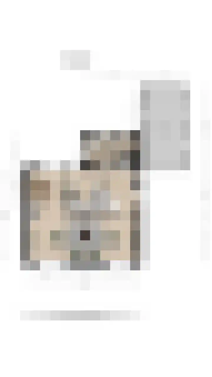 Meeuwenlaan 2 Nieuwkoop thumbnail 34