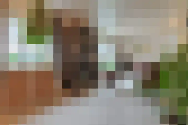 Meeuwenlaan 2 Nieuwkoop thumbnail 8