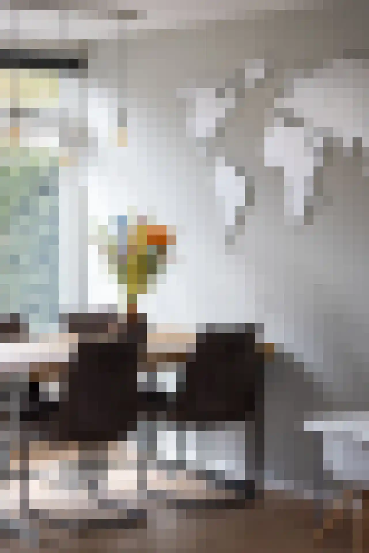 Meeuwenlaan 20 Bergschenhoek thumbnail 10