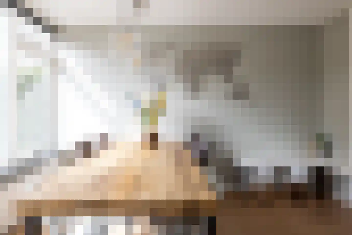 Meeuwenlaan 20 Bergschenhoek thumbnail 13