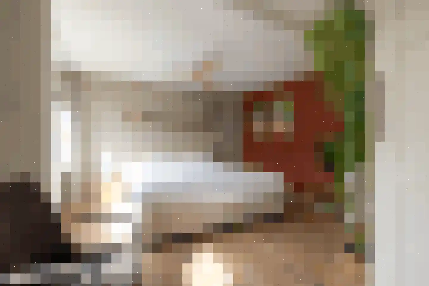 Meeuwenlaan 20 Bergschenhoek thumbnail 17