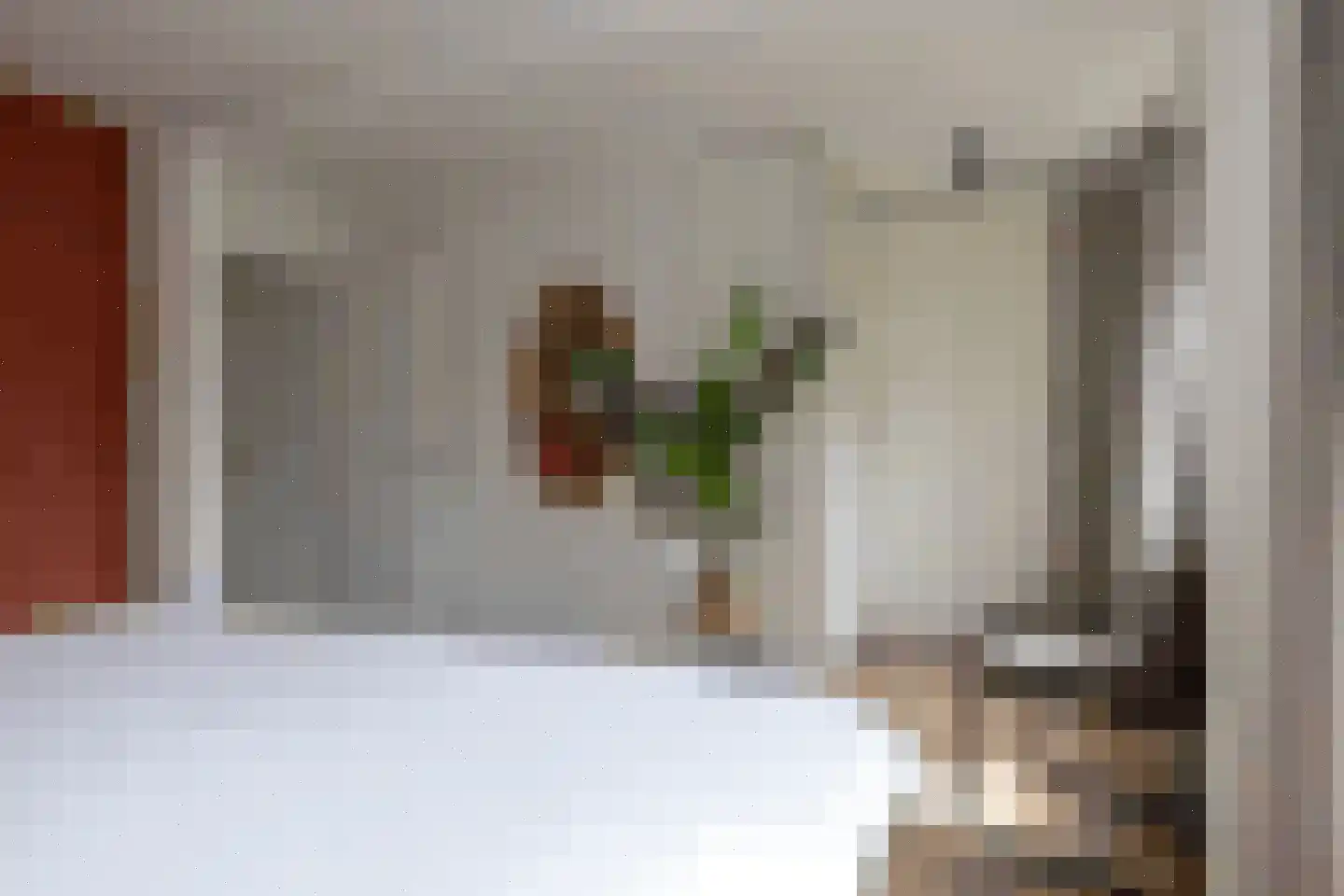 Meeuwenlaan 20 Bergschenhoek thumbnail 18