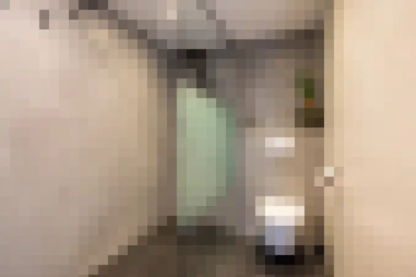 Meeuwenlaan 20 Bergschenhoek thumbnail 22