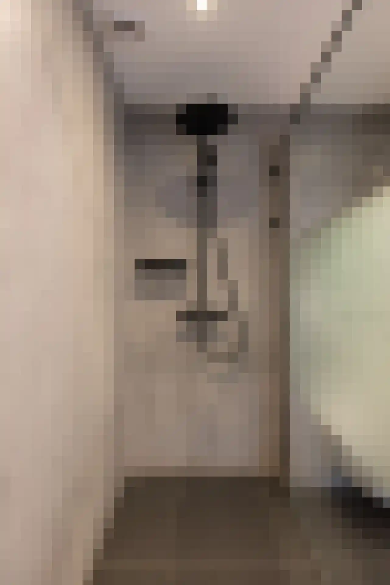 Meeuwenlaan 20 Bergschenhoek thumbnail 23