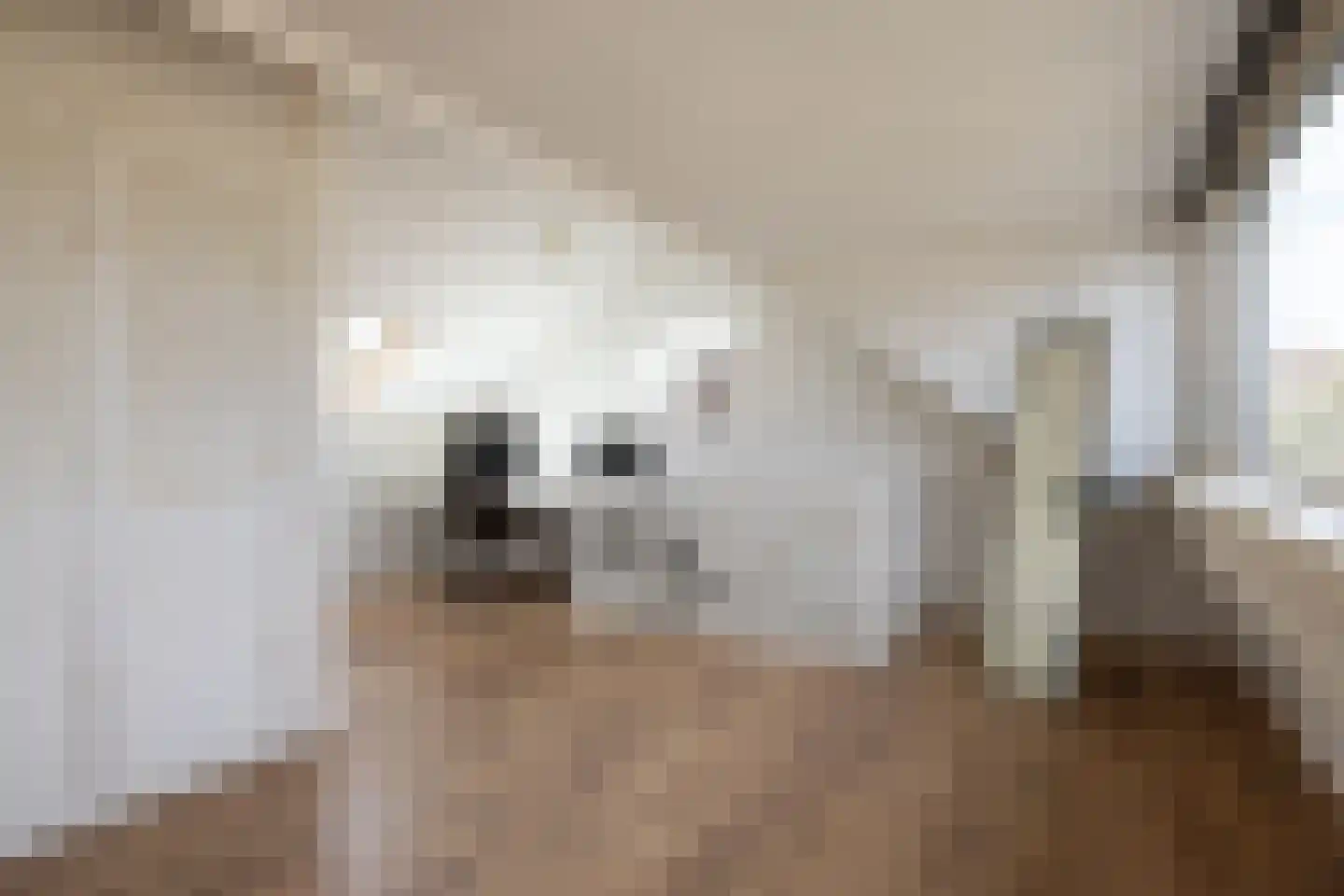 Meeuwenlaan 20 Bergschenhoek thumbnail 25