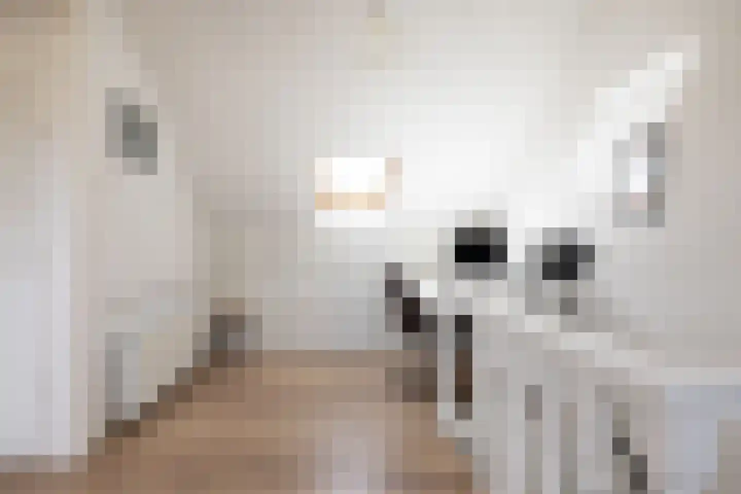 Meeuwenlaan 20 Bergschenhoek thumbnail 26