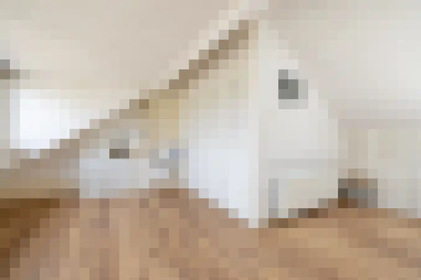 Meeuwenlaan 20 Bergschenhoek thumbnail 27