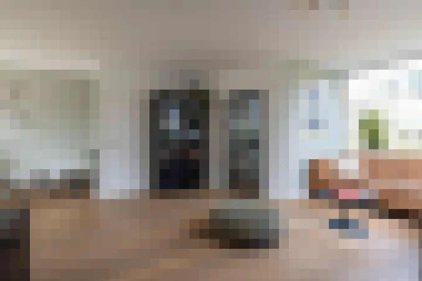 Meeuwenlaan 20 Bergschenhoek thumbnail 8