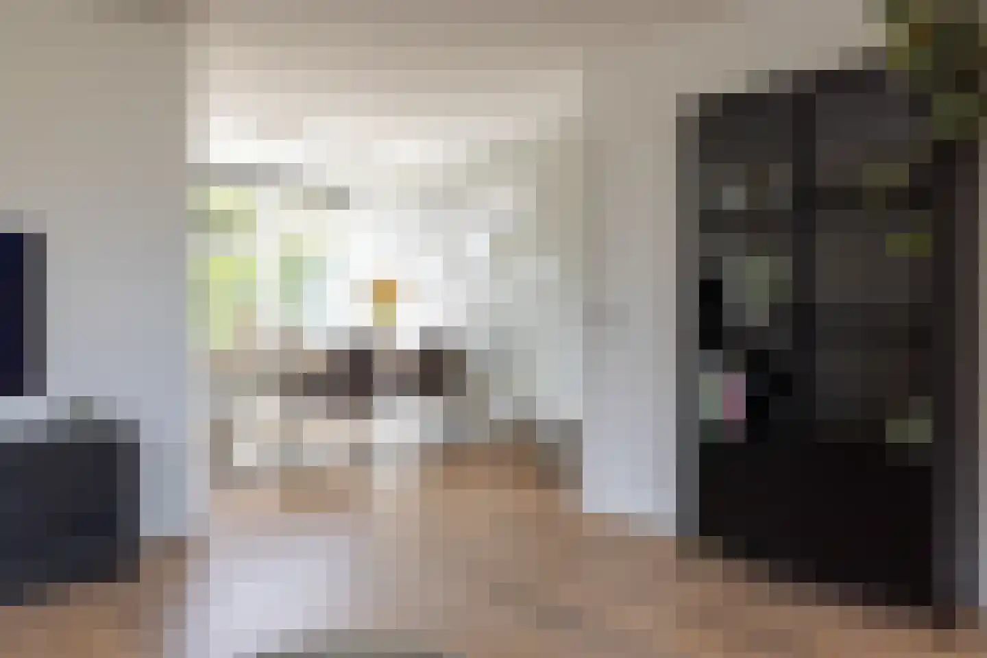 Meeuwenlaan 20 Bergschenhoek thumbnail 9