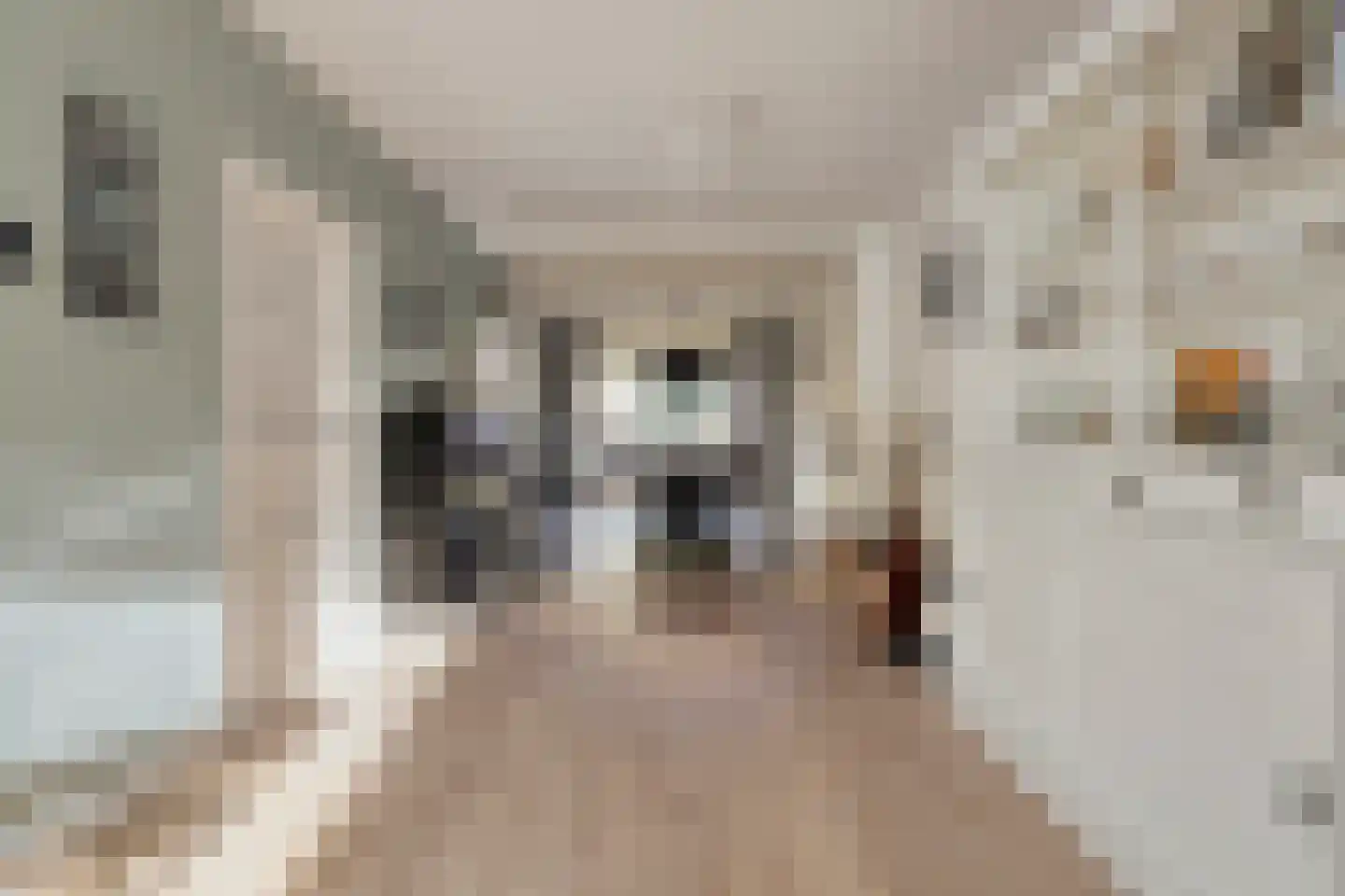 Meeuwenlaan 20 Made thumbnail 10