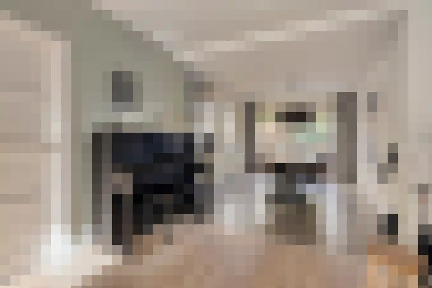 Meeuwenlaan 20 Made thumbnail 11