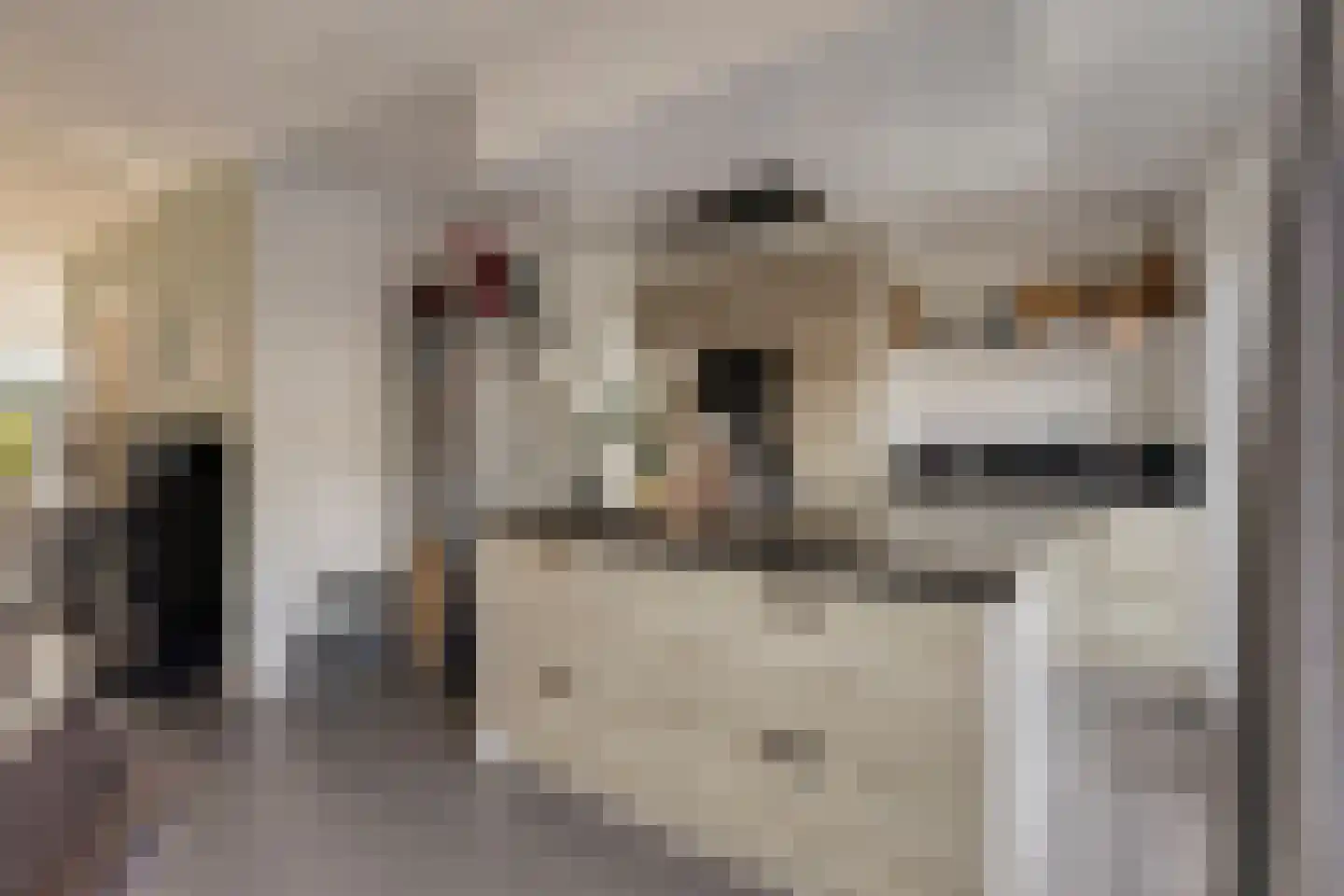 Meeuwenlaan 20 Made thumbnail 15